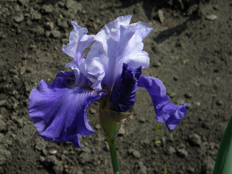 фото