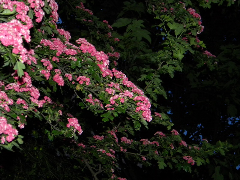 фото