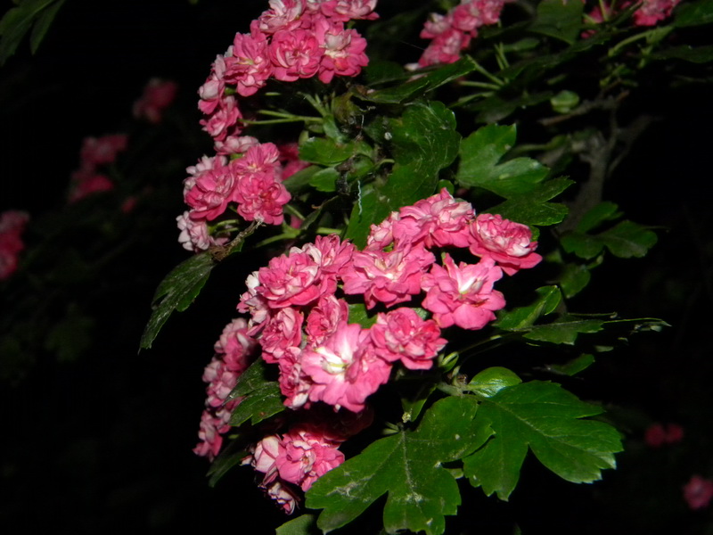 фото