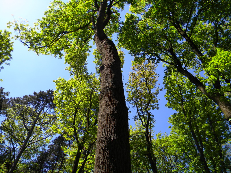 фото
