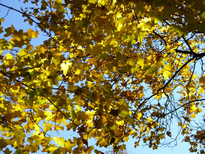 фото