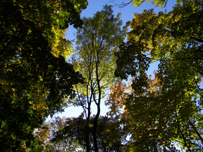 фото