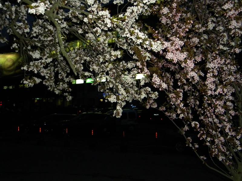 фото