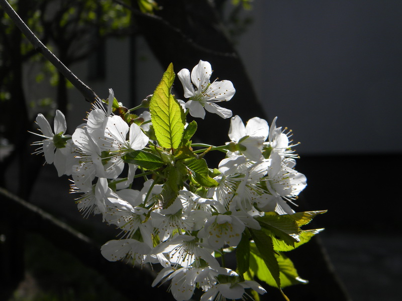 фото