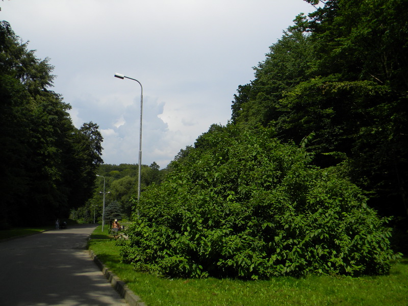 фото