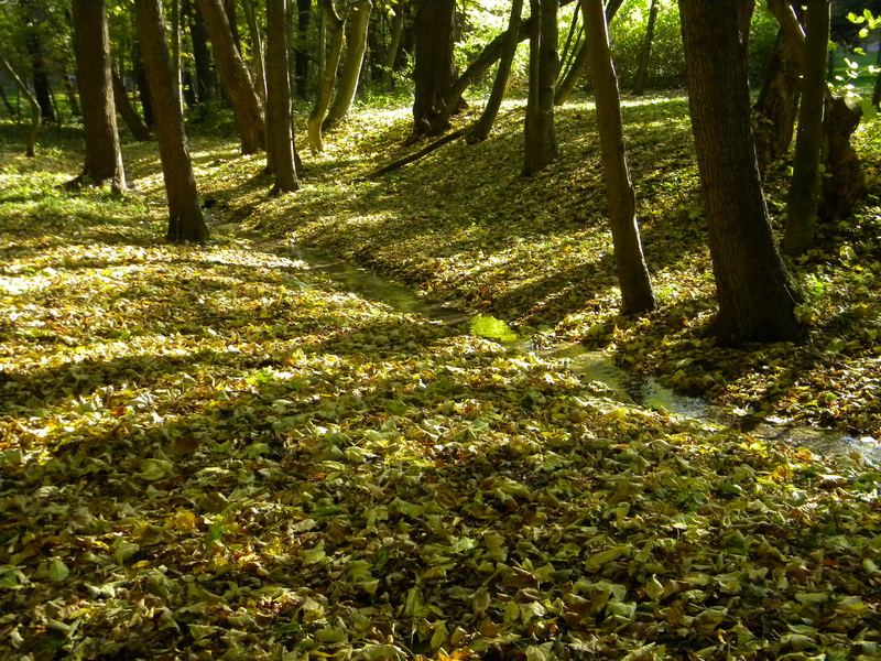 фото
