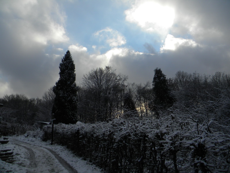 фото