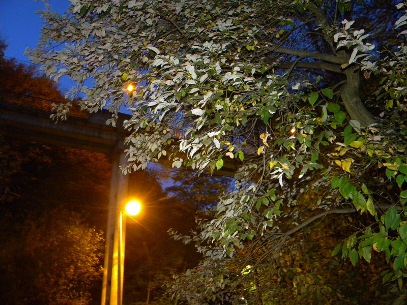 фото