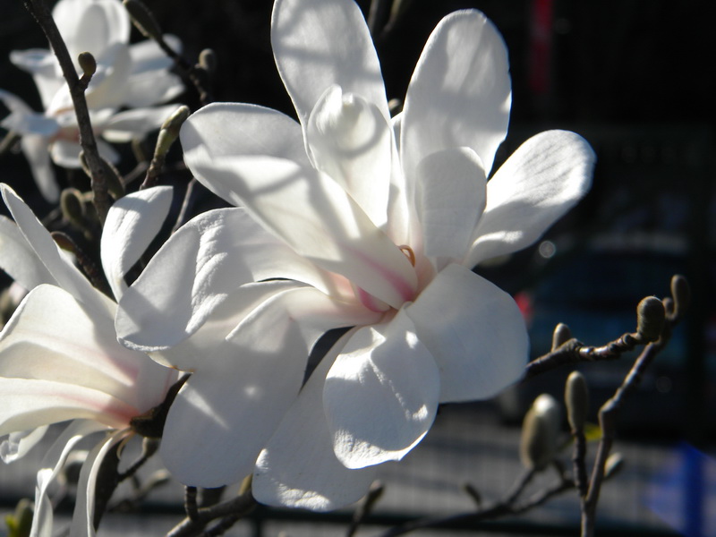 фото