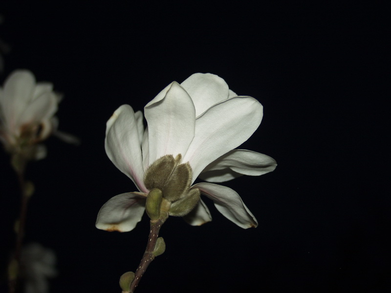 фото