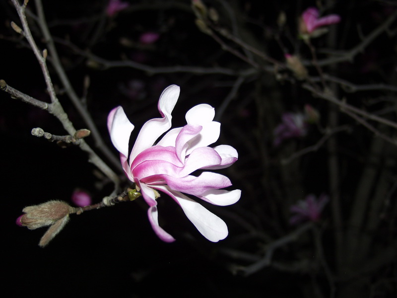 фото