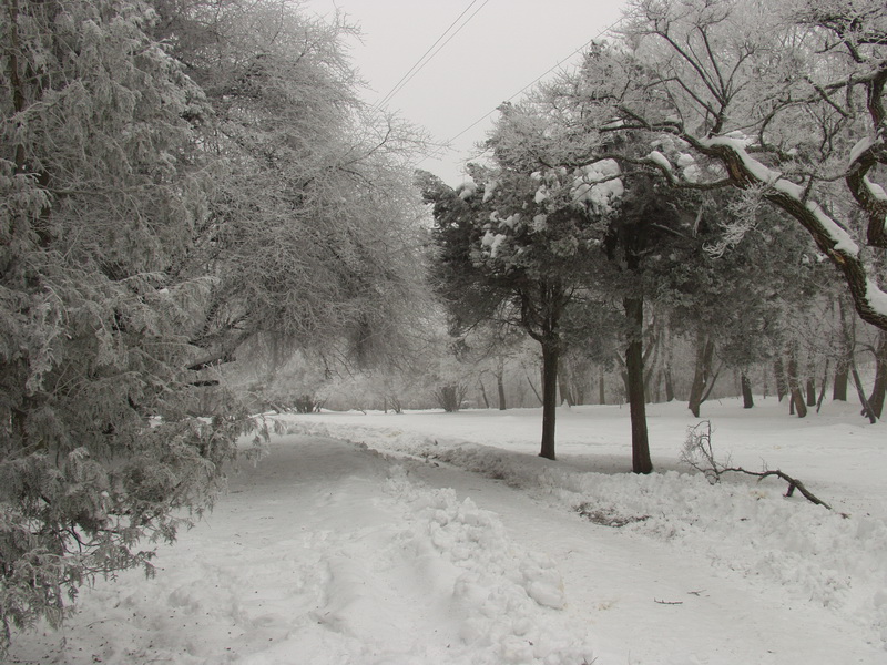 фото