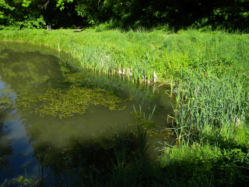 фото
