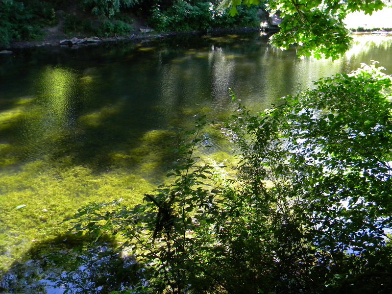 фото