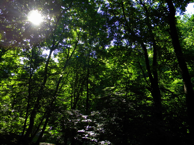 фото