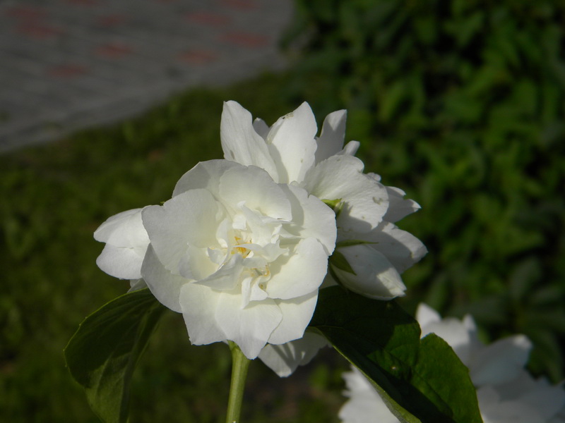 фото