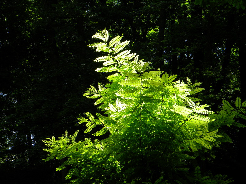 фото