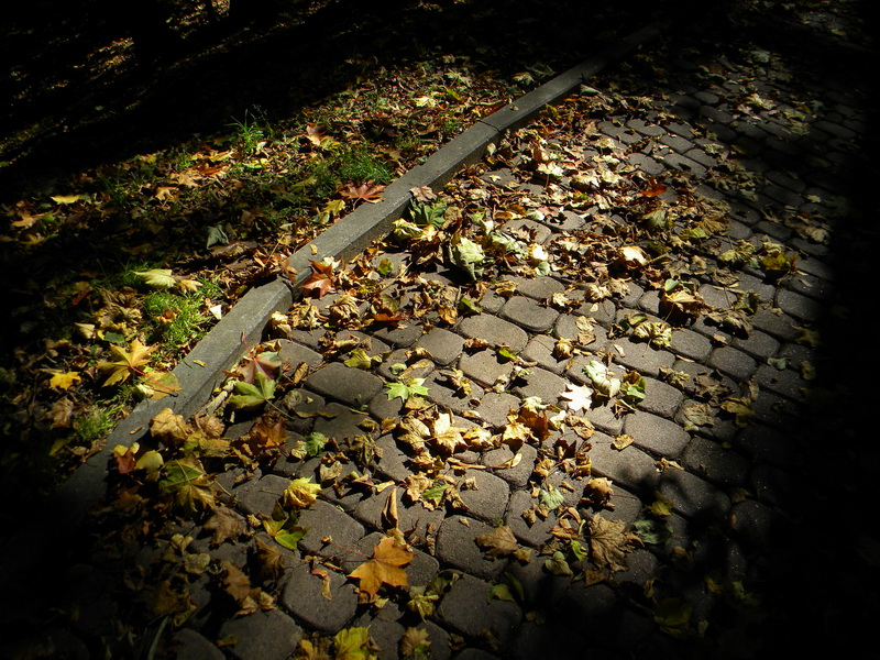 фото