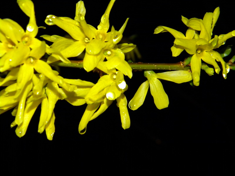 фото