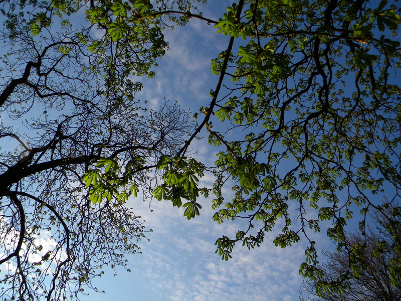 фото