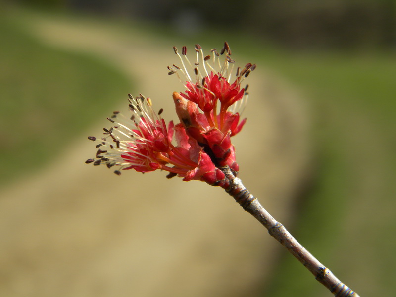 фото