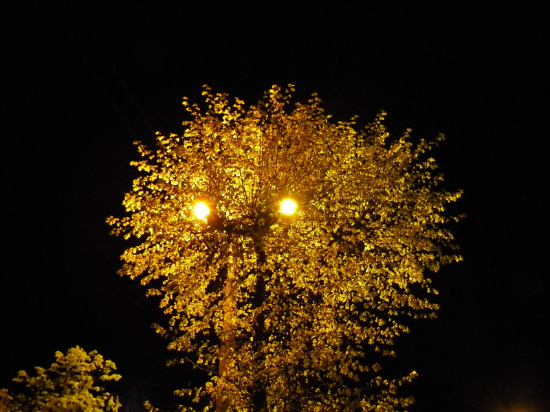 фото