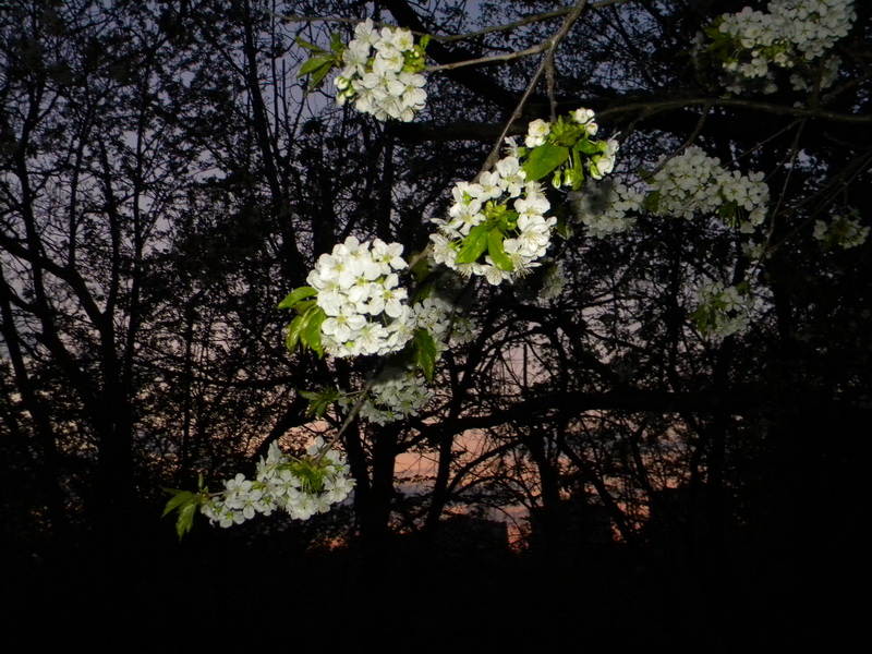 фото