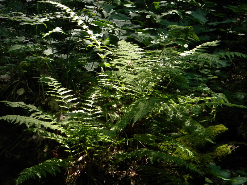 фото