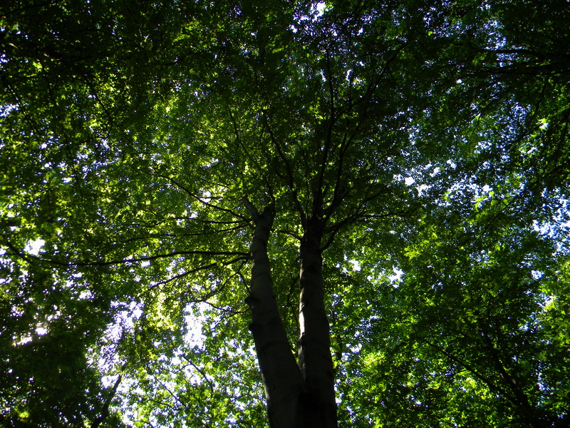 фото