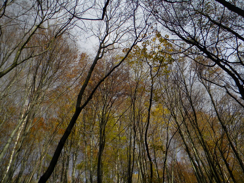 фото
