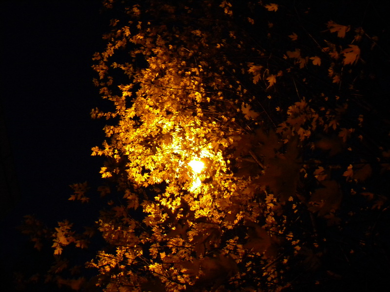 фото
