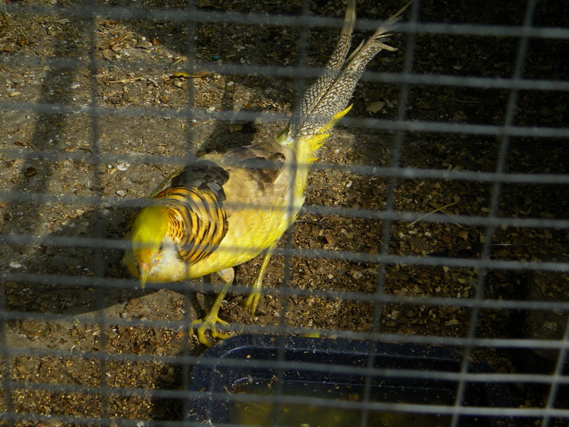 фото